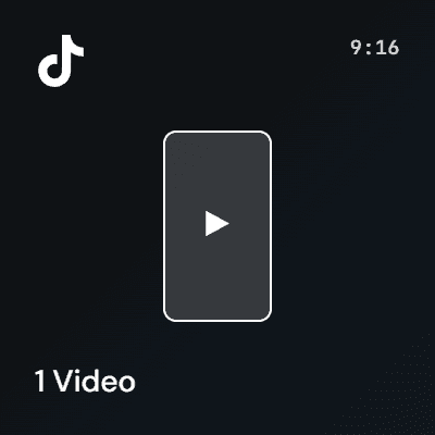 1 TikTok Video