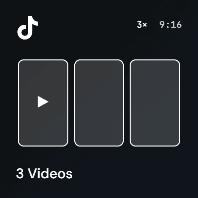 3 TikTok Videos